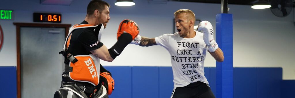 What To Look For When Choosing MMA Gloves